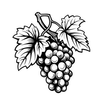 Grape Cluster Design