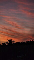 sunset over the city