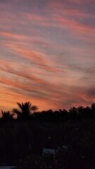 sunset over the city