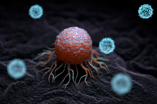 Immune response to cancer, illustration