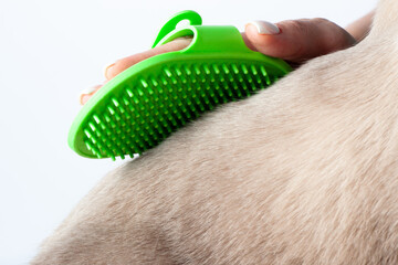 Rubber cat grooming brush for shedding. Perfect tool for pet fur care and grooming. Keep your cat...