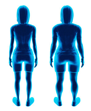 Visual representation in holographic style showcasing a lean girl compared to her firm and curvaceous physique post-nutritional enhancements and sports workouts, backview, PNG