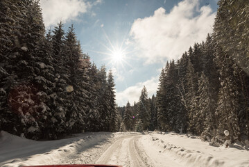 Winter Romanian landscape. Snowy Carpathian forests - 681410580