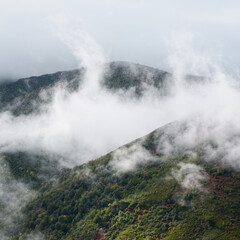 Fog occupies the dark valleys between forested mountains