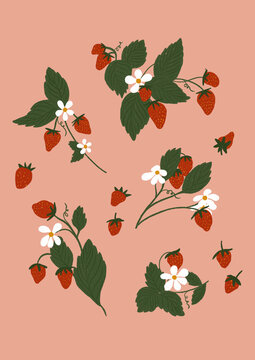 Strawberries