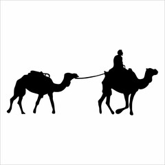 Silhouette of a man with a camel