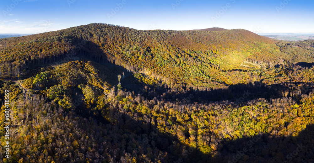 Leinwandbilder aerial view of forest with red trees on mountain in fall in slovakia. colorful landscape. top view f