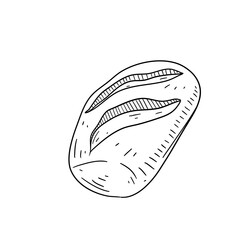 pasrty food illustration 