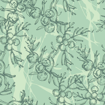 Seamless pattern with juniper: berries juniper and a branch. Cosmetics and medical plant. Hand drawn illustration Vintage holiday decor.