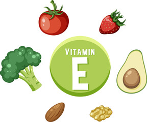 Education Poster: Foods Containing Vitamin E