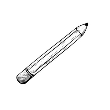 pencil hand drawn illustration
