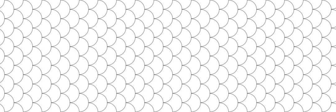 fish scale seamless pattern. skin texture background of fish, dragon, reptile, snake.