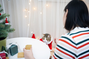 asian woman decorate christmas tree and dressing her cat with christmas theme