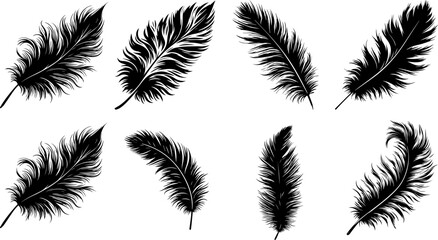 Black Fluffy Feather Silhouette Isolated On White Background Vector EPS