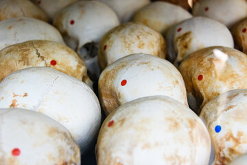 Some of the 9000 skulls piled up inside the Memorial Stupa to the victims at the Choeung Ek Killing...
