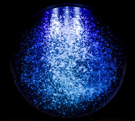 水族館　水海月