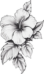 Black and white hibiscus flowers on a white background