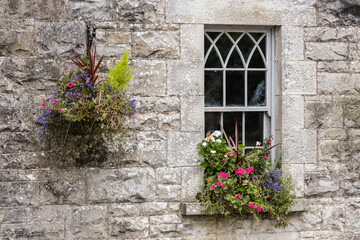Fototapeta na wymiar Hanging basket and window box on the stone wall of an old Irish cottage.
