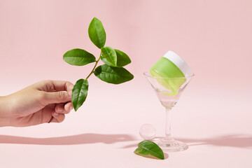 Woman's hand holding green tea branch. The cream jar is placed in a cocktail glass on a pink background. Topical application of green tea extract may be effective for atopic dermatitis and acne.