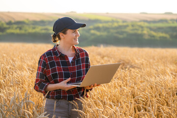 Woman farmer working with laptop on wheat field. Smart farming and digital agriculture..