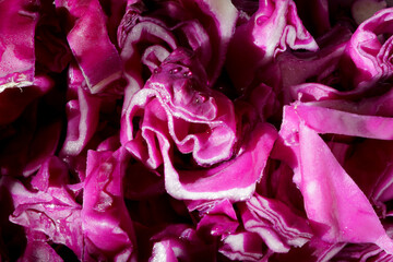 Red cabbage cut