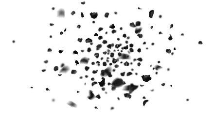 Falling Black Rose Leaves PNG . Rose Petals PNG. Black Rose PNG , 