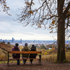 People sitting on a bench in autumn looking down on city of vienna, Austria