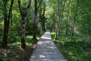 Fototapeta na wymiar Black moor with a new wooden path