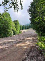 Obraz premium mountain walk on a sunny summer day