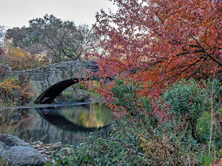 Foto op Plexiglas Gapstow Brug Gapstow Bridge in Central Park, autumn