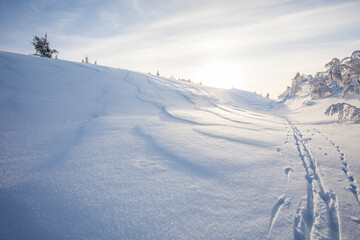 Winter landscape in Pallas Yllastunturi National Park, Lapland, Finland