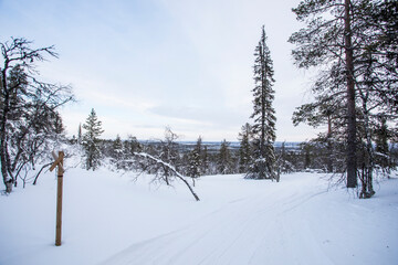 Winter landscape in Pallas Yllastunturi National Park, Lapland, Finland