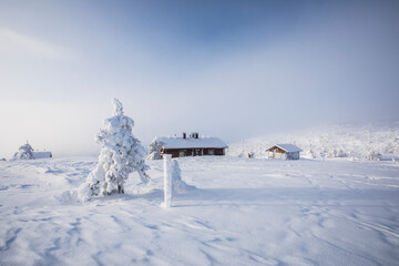 Ski expedition in Pallas Yllastunturi National Park , Lapland, Finland