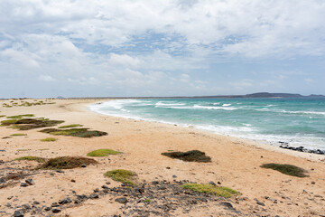 Fototapeta na wymiar Kite beach on Sal Island, Cape Verde