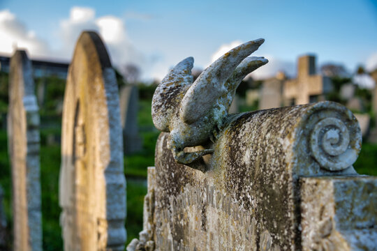 Friedhof von St. Ives in Cornwall / England  alter Grabstein mit einer Taube