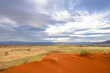 Blue sky, green grass and red sand dune
