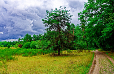 Fototapeta premium beautiful autumn day in Nuremberg
