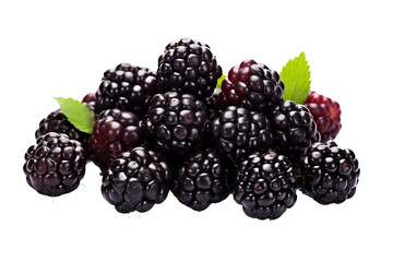 Glossy Blackberry Pile Delight Isolated on a transparent background