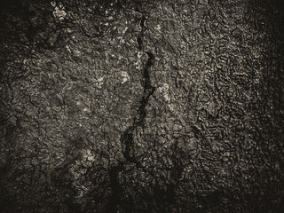 monochrome mold cement wall with crack broken background, fungus on a rock and detail texture