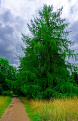beautiful autumn day in Nuremberg