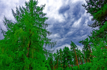 Obraz premium beautiful autumn day in Nuremberg