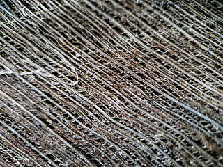 palm tree texture and pattern background