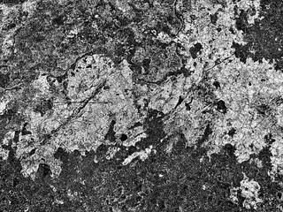 monochrome mold cement wall with crack broken background, fungus on a rock and detail texture