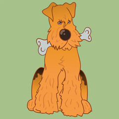 Sticker dog. Airedale Terrier. Funny sticker with a dog. Cartoon style. Set of stickers. Cartoon character for comics and postcards