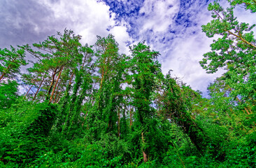 beautiful autumn day in Nuremberg