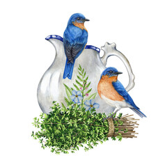 Rustic countryside vintage style decor. Watercolor illustration. Bluebird couple, thyme bunch and white porcelain jar rustic decor. Aromatic fresh thyme herb element with a couple of garden birds