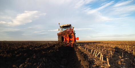 The tractor is working in the field, preparing the soil in the fall after harvesting the corn