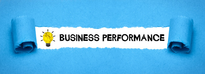 Business Performance	