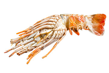 Fresh Spiny lobster on a wooden table, raw seafood.  Transparent background. Isolated.