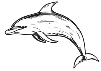 Dolphin hand drawn sketch Vector illustration